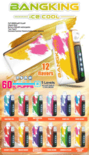 BangKing Ice Cool 60000 Puffs 拋棄式電子煙 五檔涼度可調一次性電子煙 新品上市