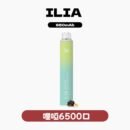 ILIA哩亞6500口拋棄式電子煙 可充電21款口味