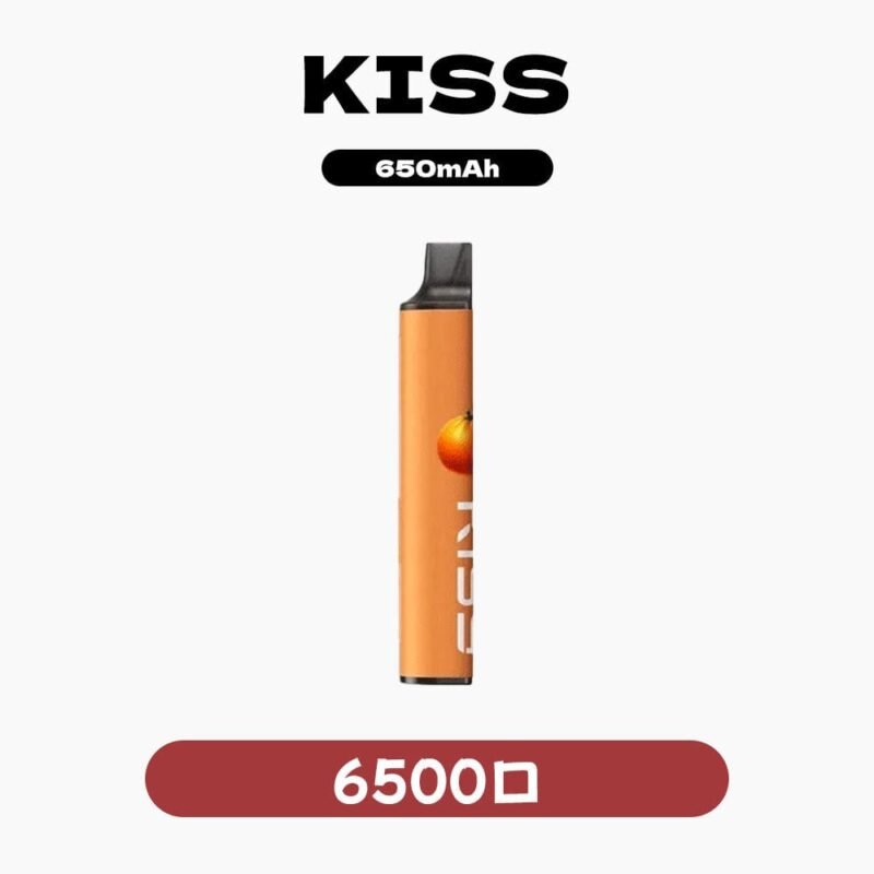 KISS拋棄式6500口雙顆磁吸主機 粉霧派對