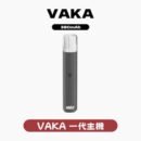 VAKA HP2 主機 粉霧派對 電子煙主機 多色可選